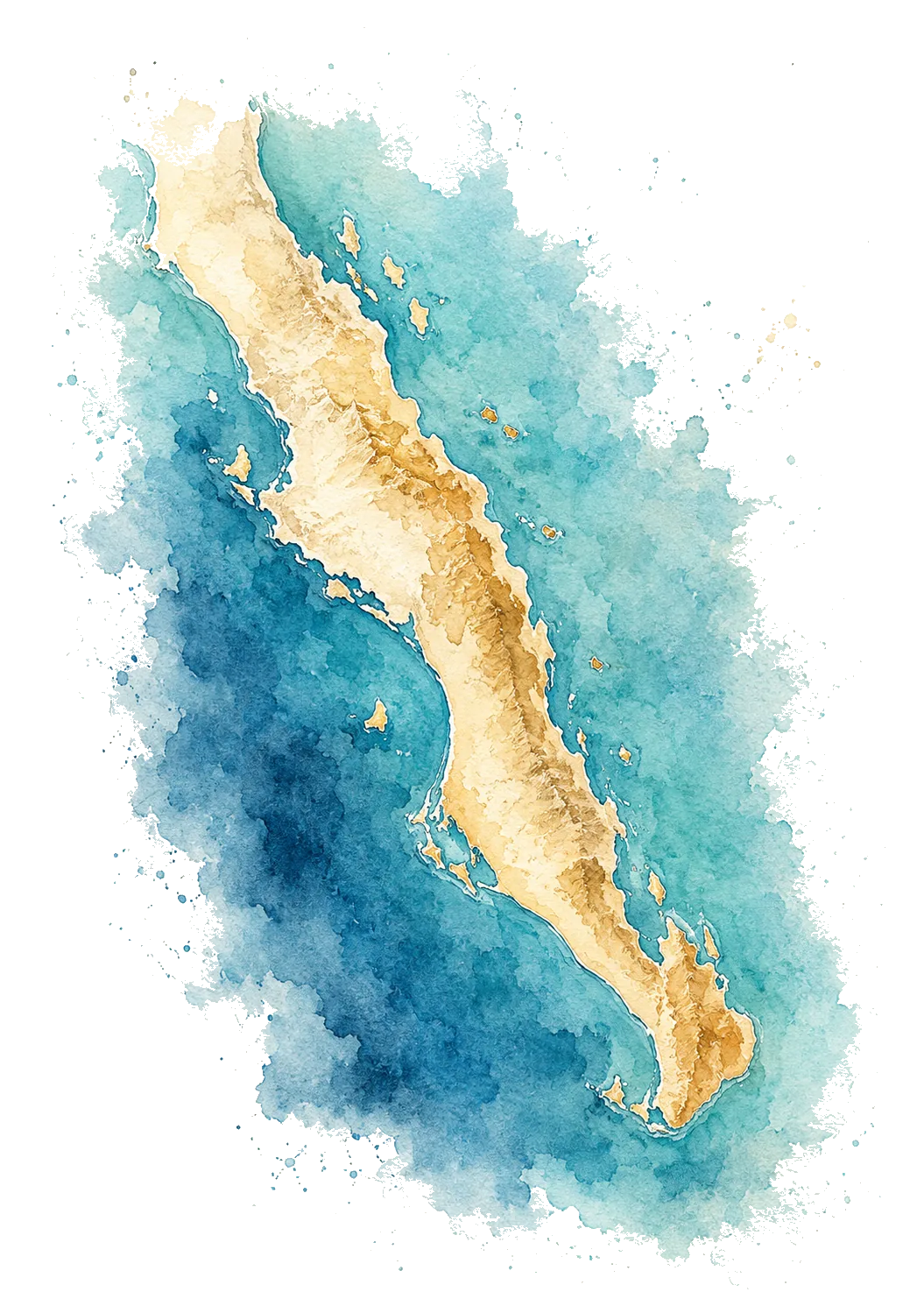Marine life of Baja California Sur